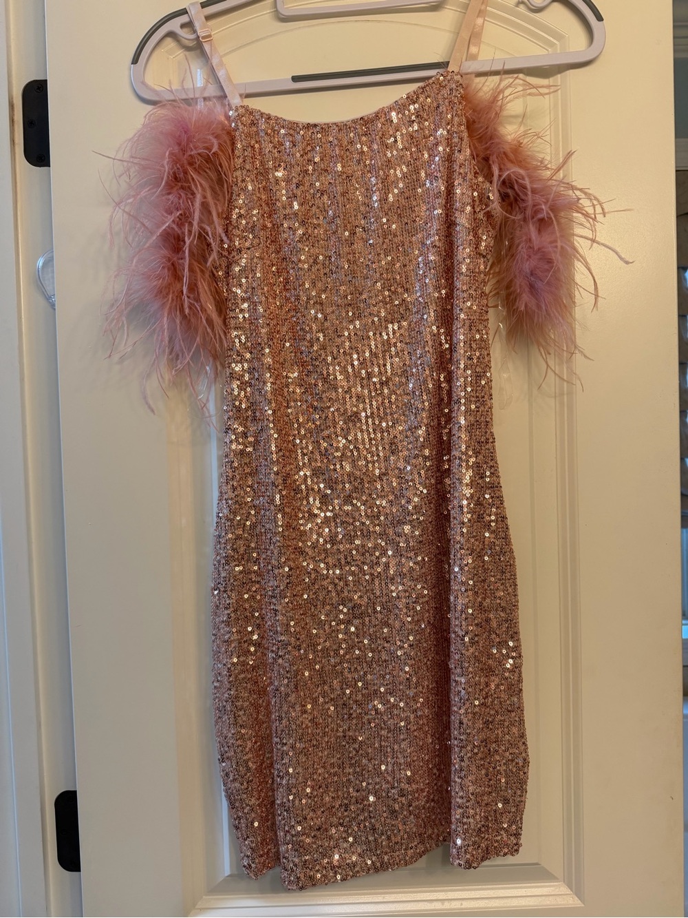 Main Strip Blush Sequin Dress with Feather Trim